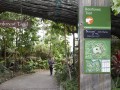 澳大利亚悉尼塔隆加动物园 (7)